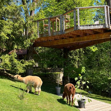 Apartments Kokl - Adults Only Radovljica Kültér fotó