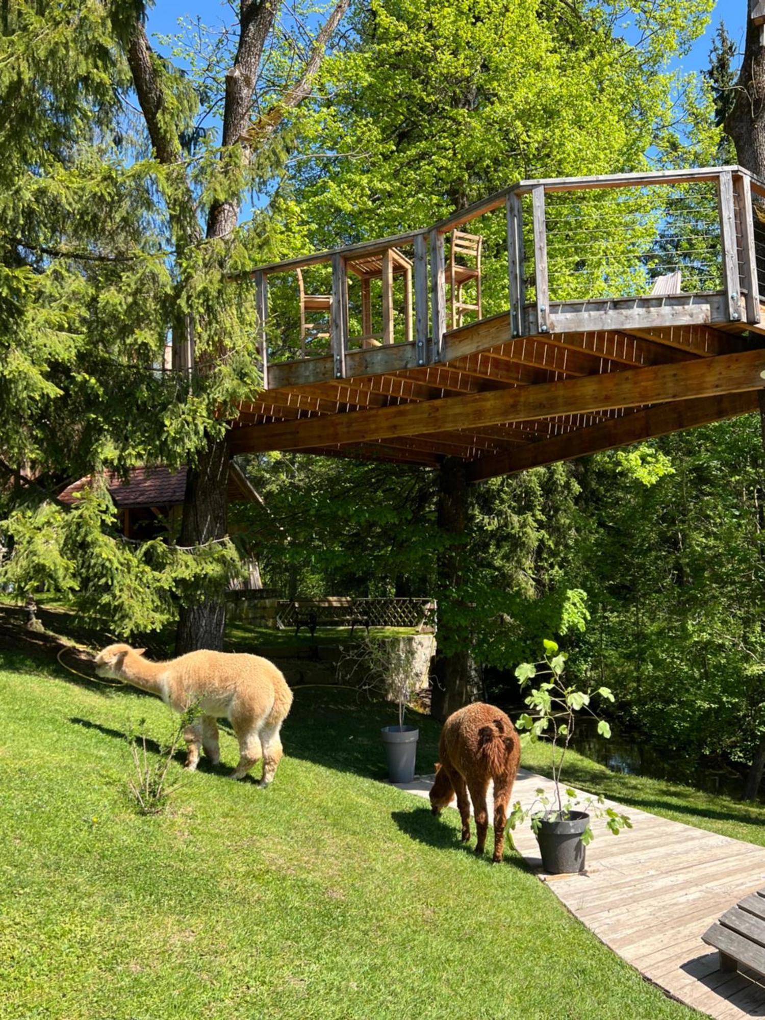 Apartments Kokl - Adults Only Radovljica Kültér fotó