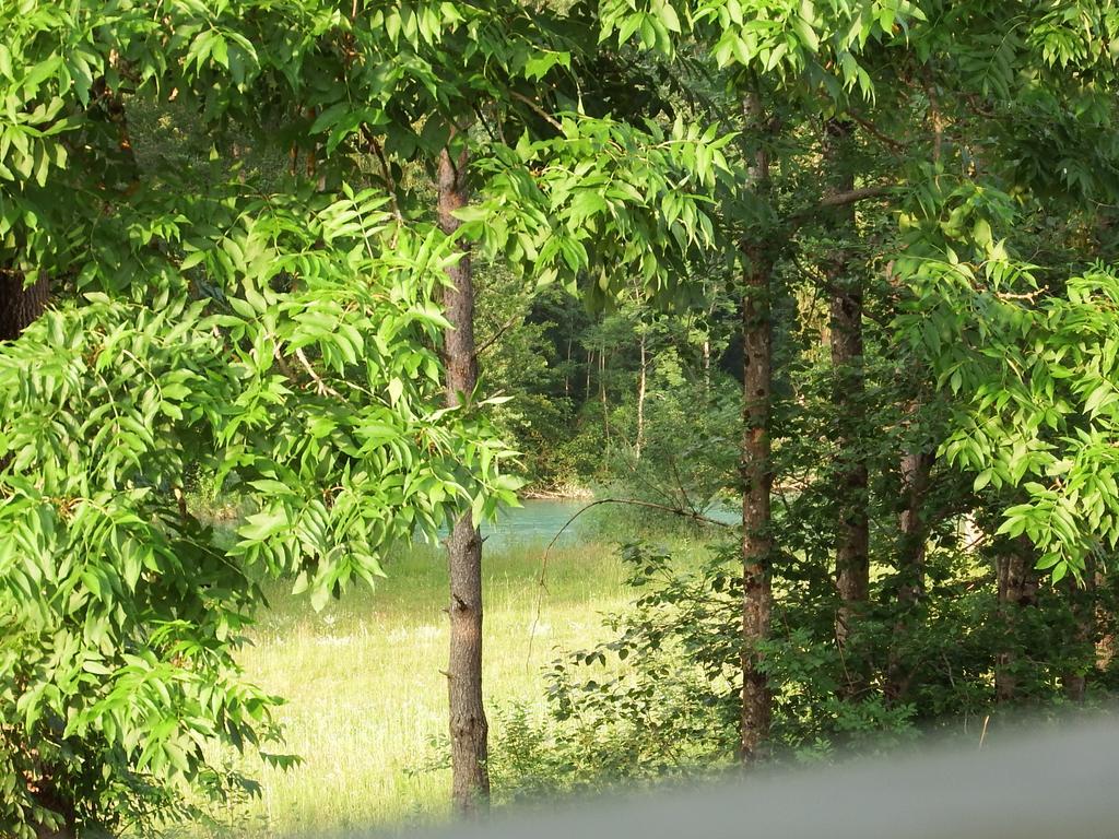 Apartments Kokl - Adults Only Radovljica Kültér fotó